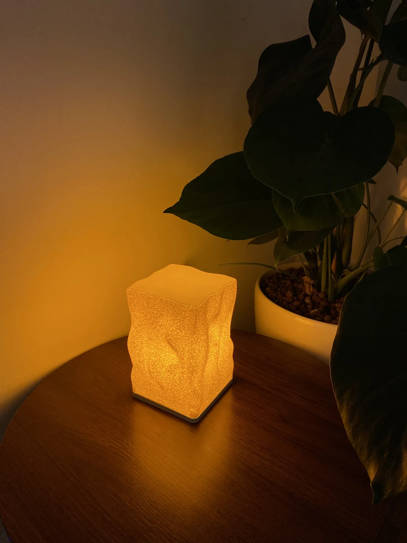 VLIV Wave lamp glowing beside a plant